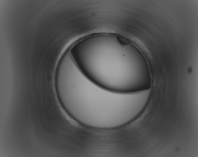 X0000094790942200711160913