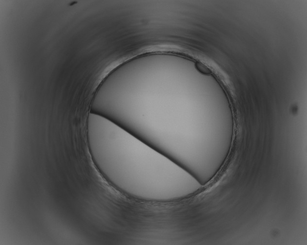 X0000094790945200711160913