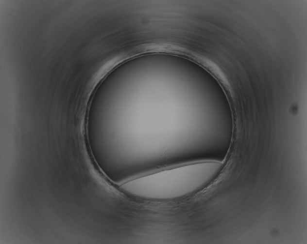 X0000094790946200711160913