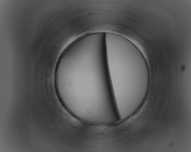 X0000094790949200711160913