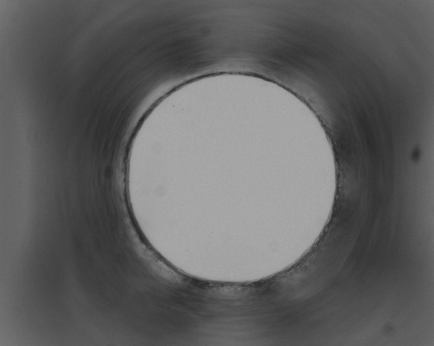 X0000094790950200711160913