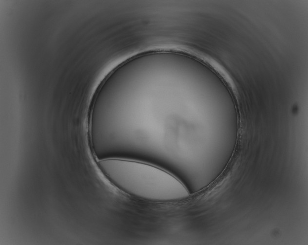 X0000094790951200711160913