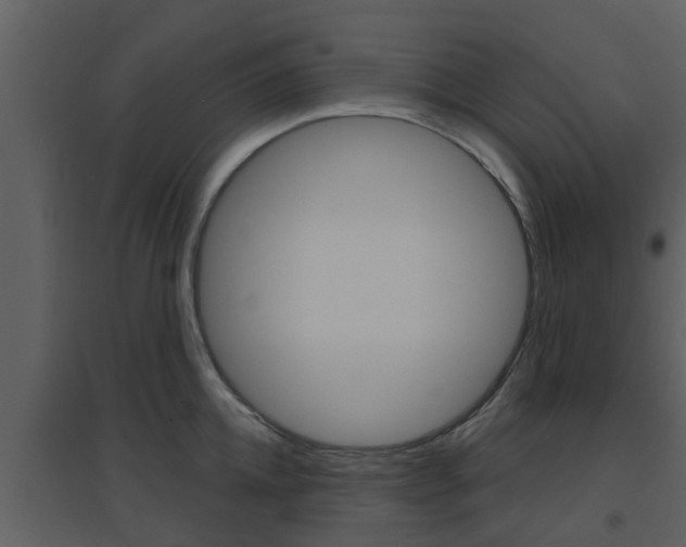 X0000094790952200711160913