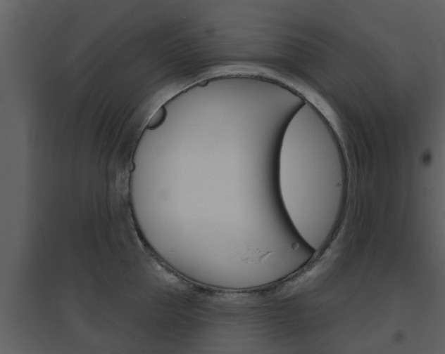 X0000094790953200711160913