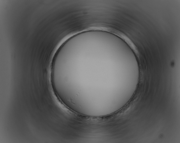 X0000094790955200711160913