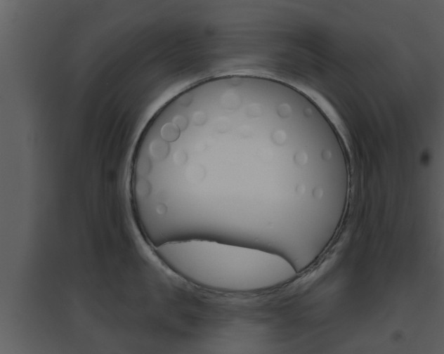 X0000094790957200711160913
