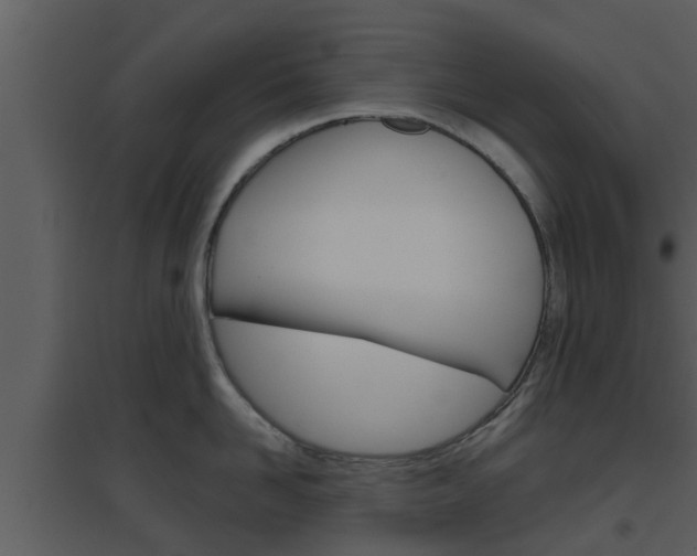 X0000094790958200711160914