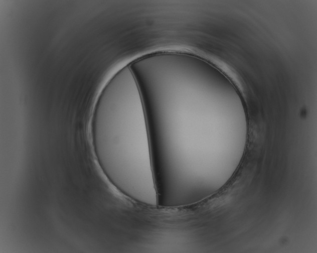 X0000094790959200711160914