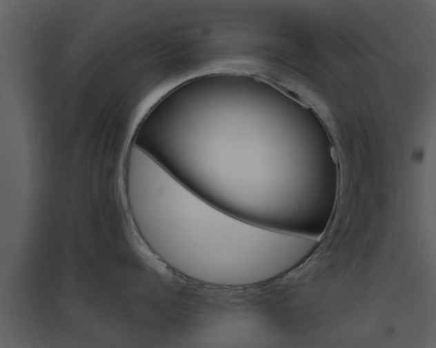 X0000094790960200711160914