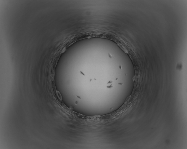 X0000094790961200711160913