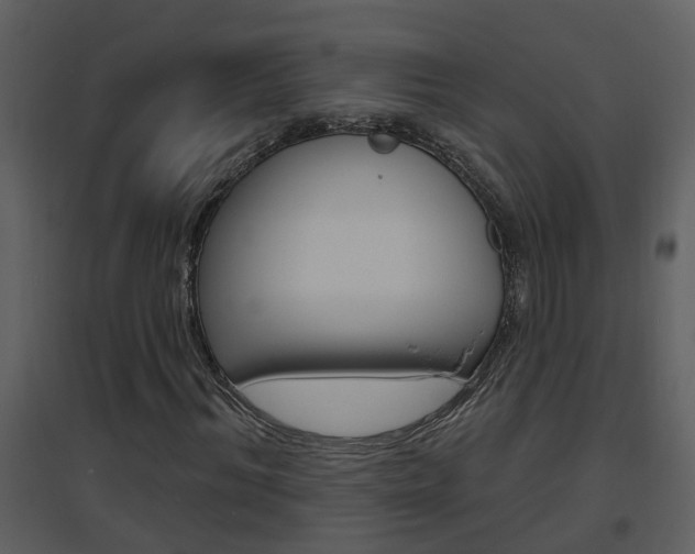 X0000094790964200711160913