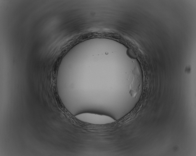 X0000094790966200711160913