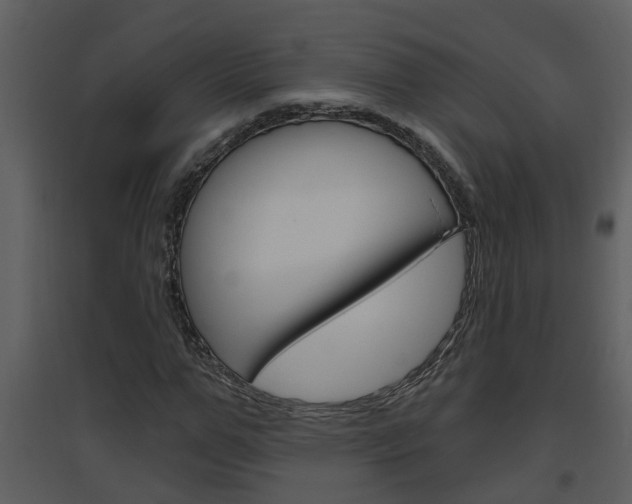 X0000094790967200711160913