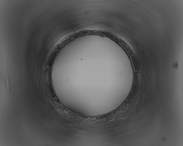 X0000094790968200711160913