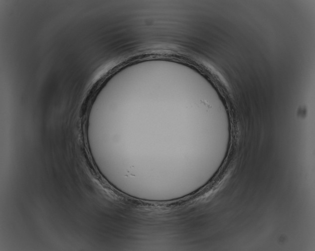 X0000094790970200711160913