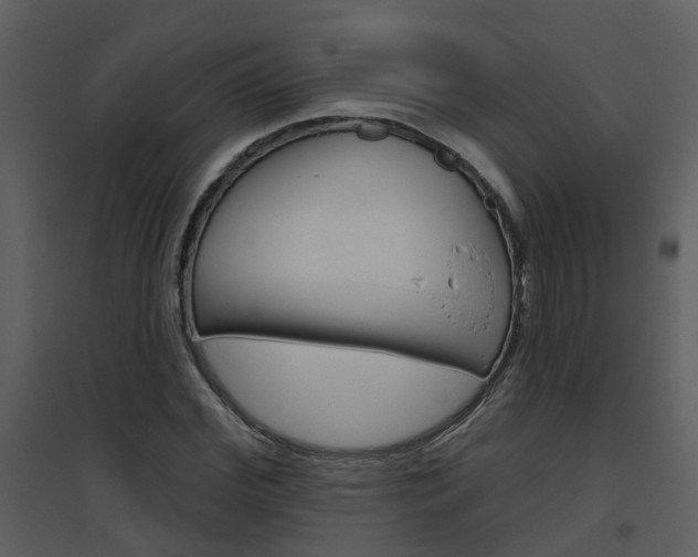X0000094790972200711160913
