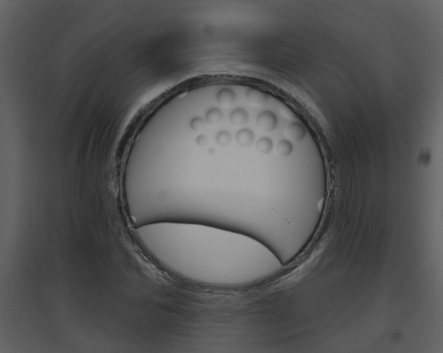 X0000094790974200711160913