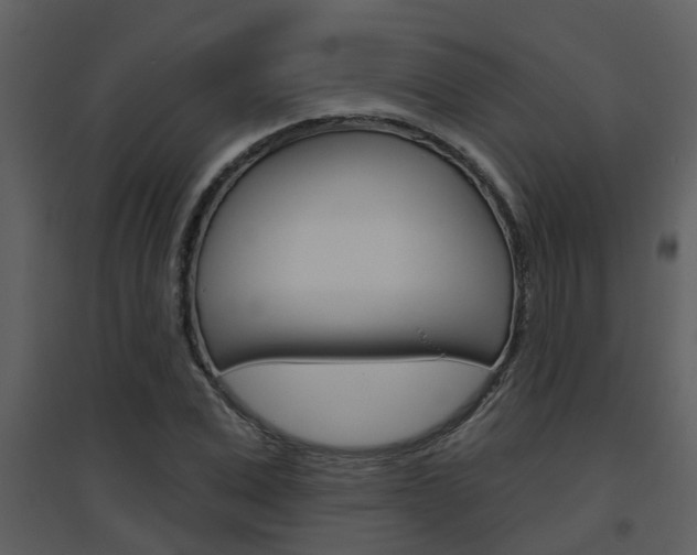 X0000094790975200711160913