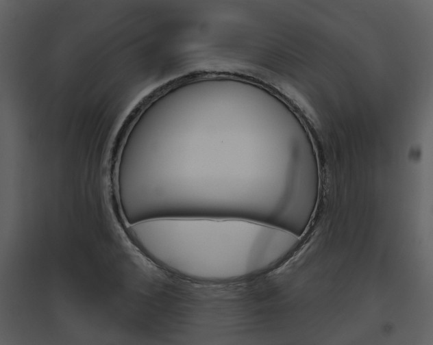 X0000094790976200711160912