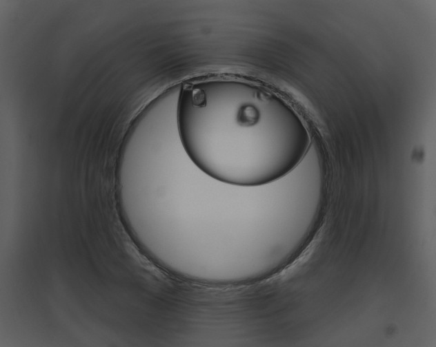 X0000094790977200711160912
