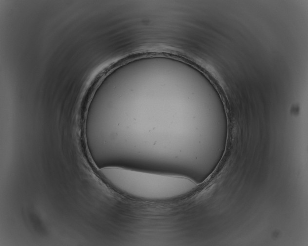 X0000094790979200711160912