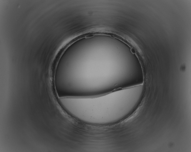 X0000094790981200711160912