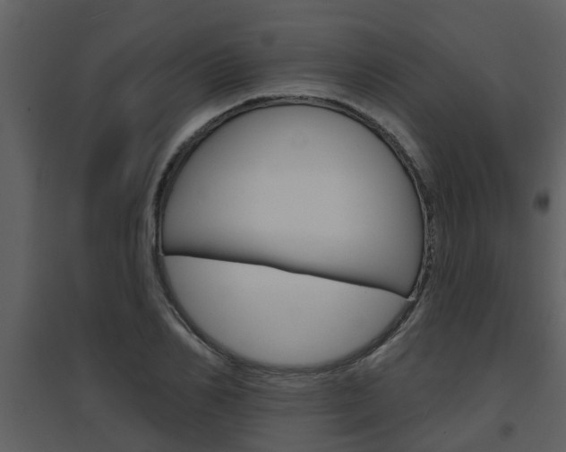 X0000094790982200711160912