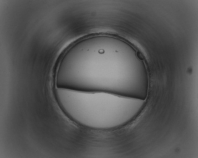 X0000094790983200711160912