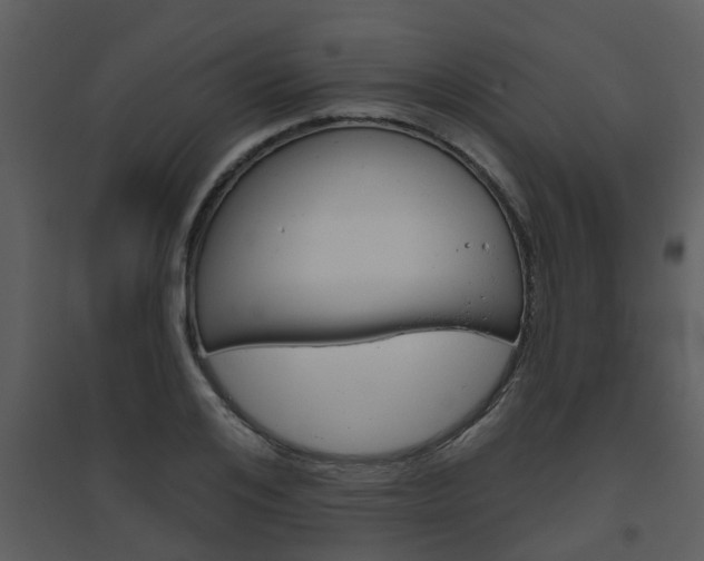 X0000094790984200711160912