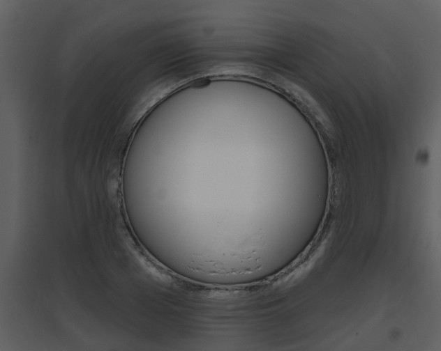 X0000094790985200711160912