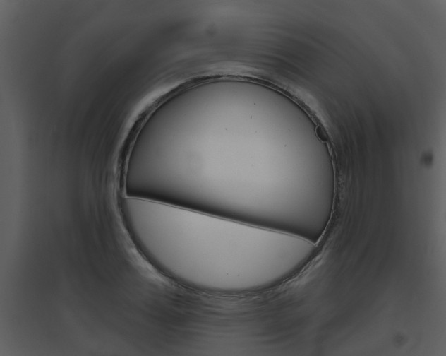 X0000094790987200711160912