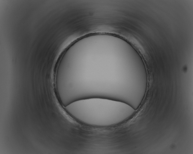 X0000094790990200711160912
