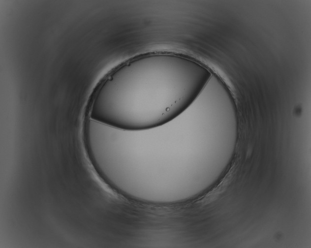 X0000094790991200711160912