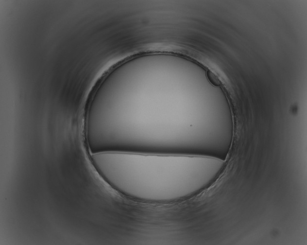 X0000094790992200711160912