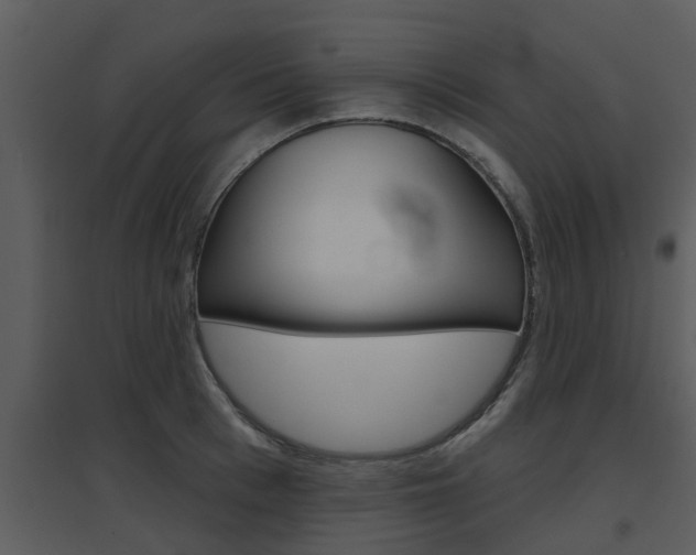 X0000094790993200711160912