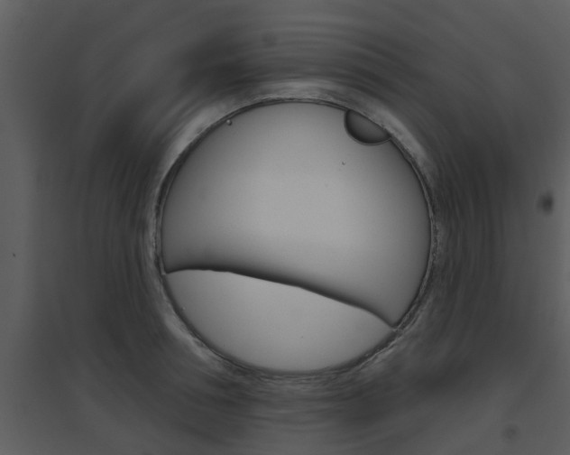 X0000094790994200711160912