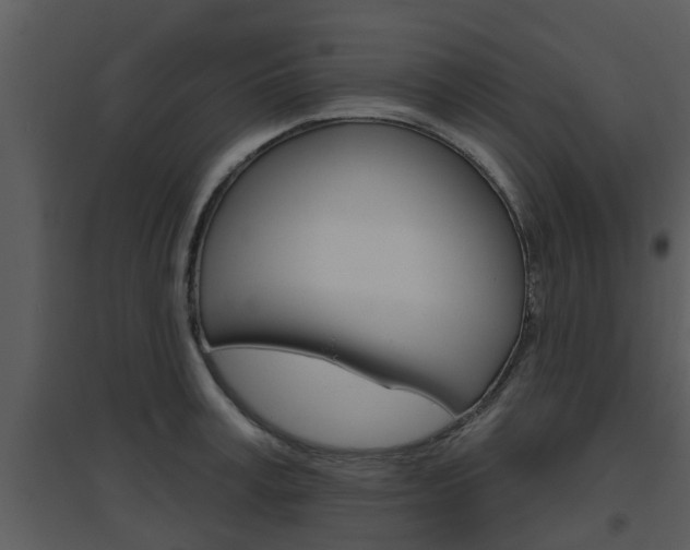 X0000094790995200711160912