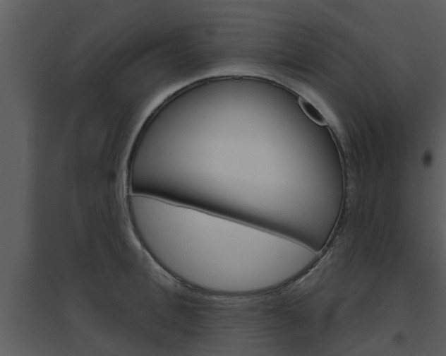 X0000094790996200711160912