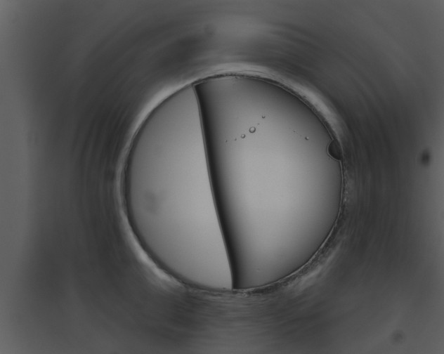 X0000094790999200711160912