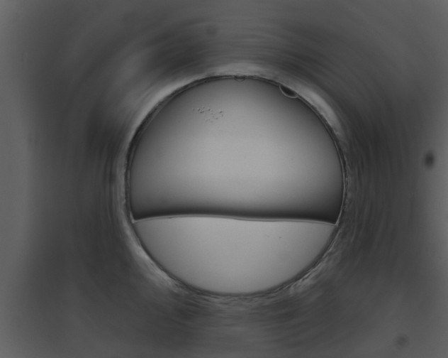 X0000094791000200711160912