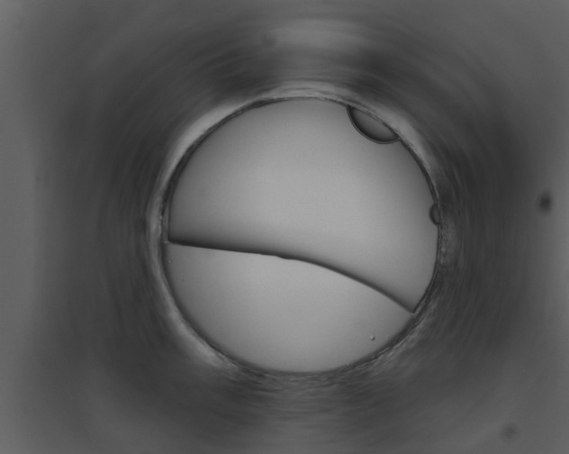 X0000094791003200711160912