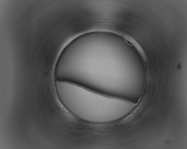 X0000094791004200711160912