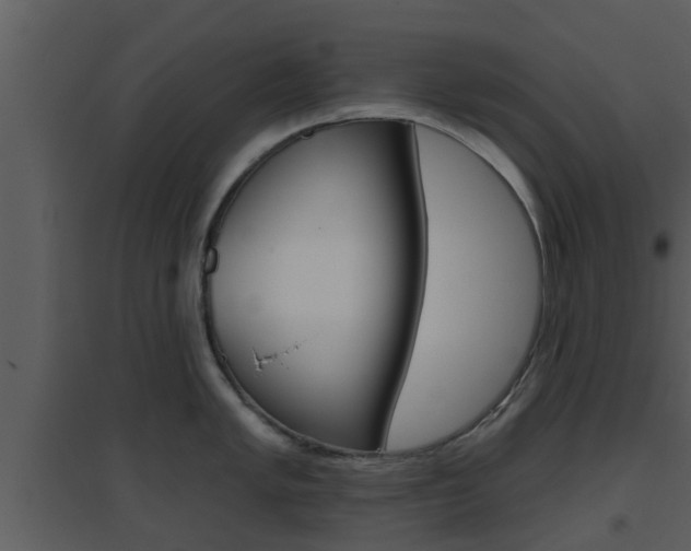 X0000094791005200711160912