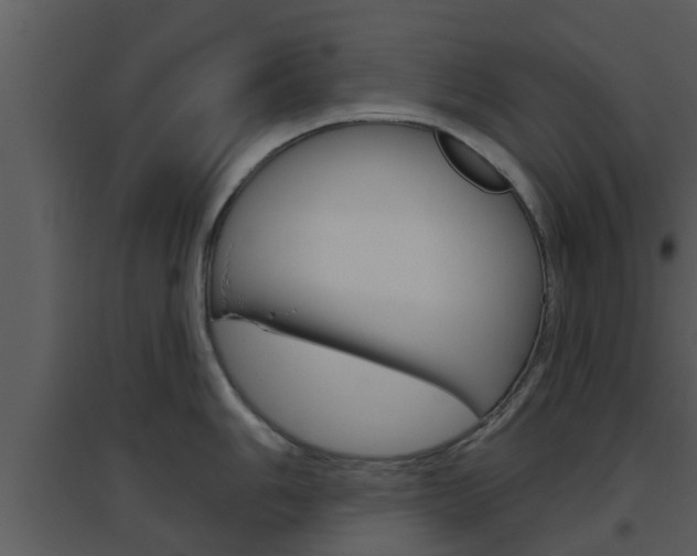 X0000094791006200711160912