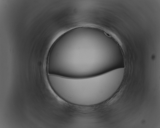 X0000094791007200711160912