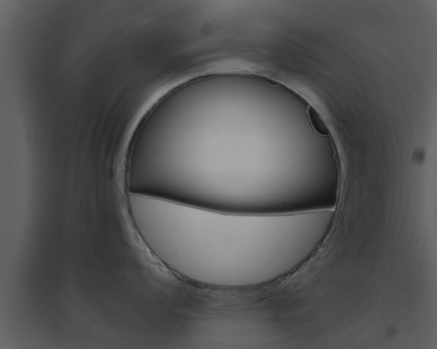 X0000094791008200711160912