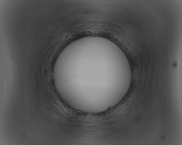 X0000094791009200711160911