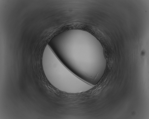 X0000094791010200711160911
