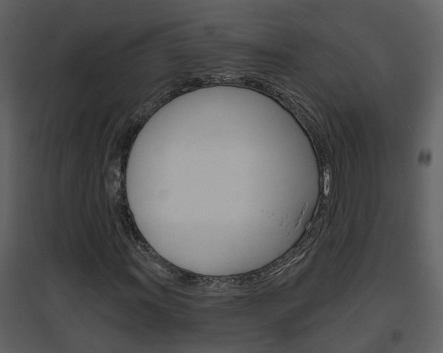 X0000094791011200711160911