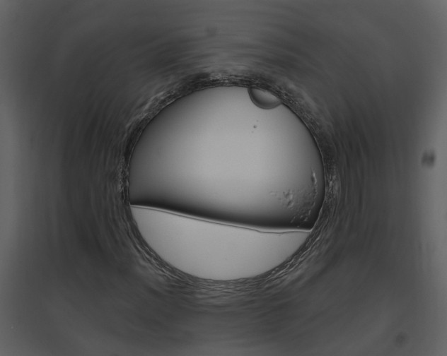 X0000094791012200711160911